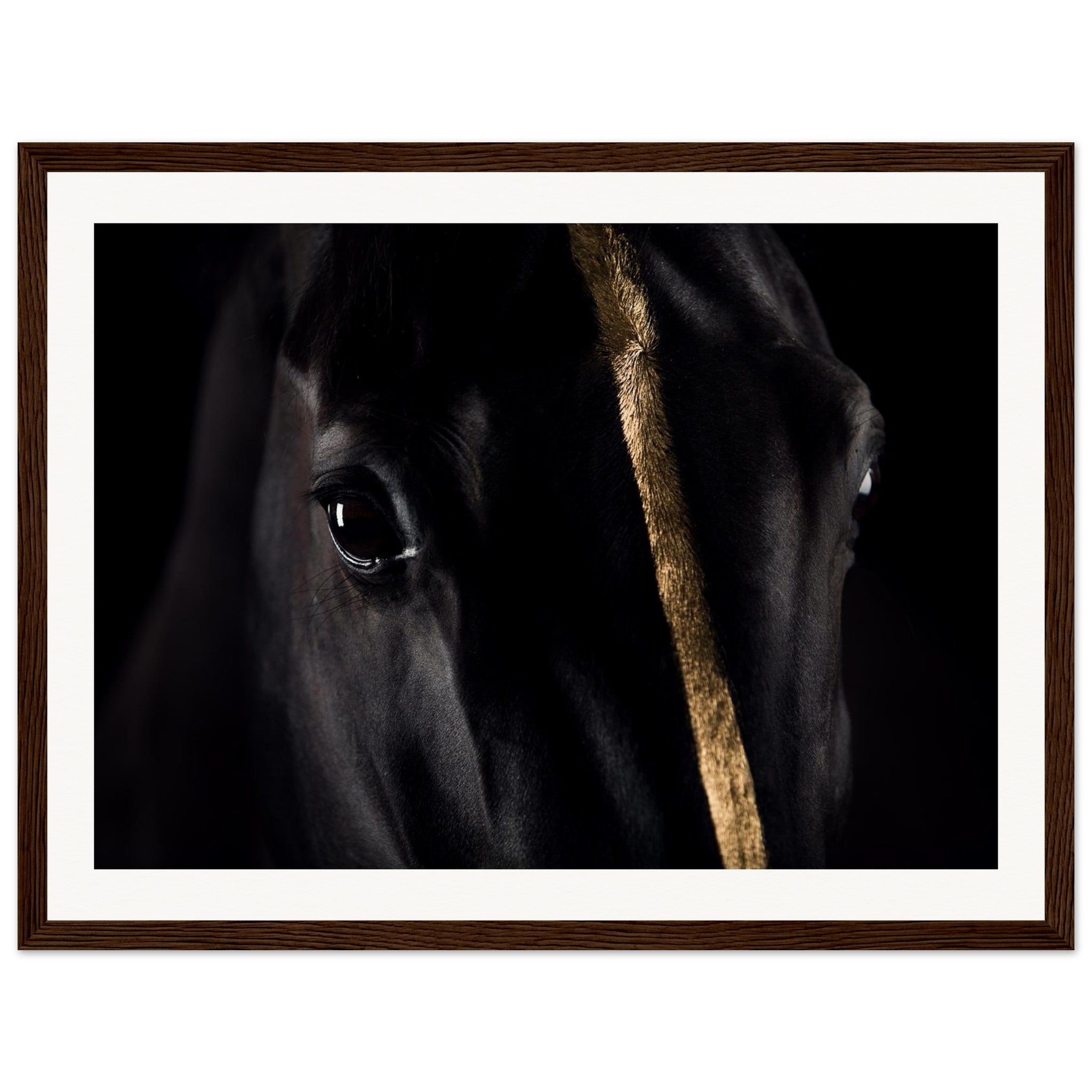 8792a8eb-c623-4999-8d18-f1f826d0eaec