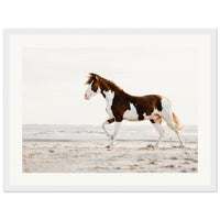 87ab7ab1-b315-4e70-873f-87ba366a0aa9