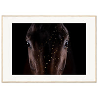 87eecf10-3f90-41ff-8ee7-1141d7d71821