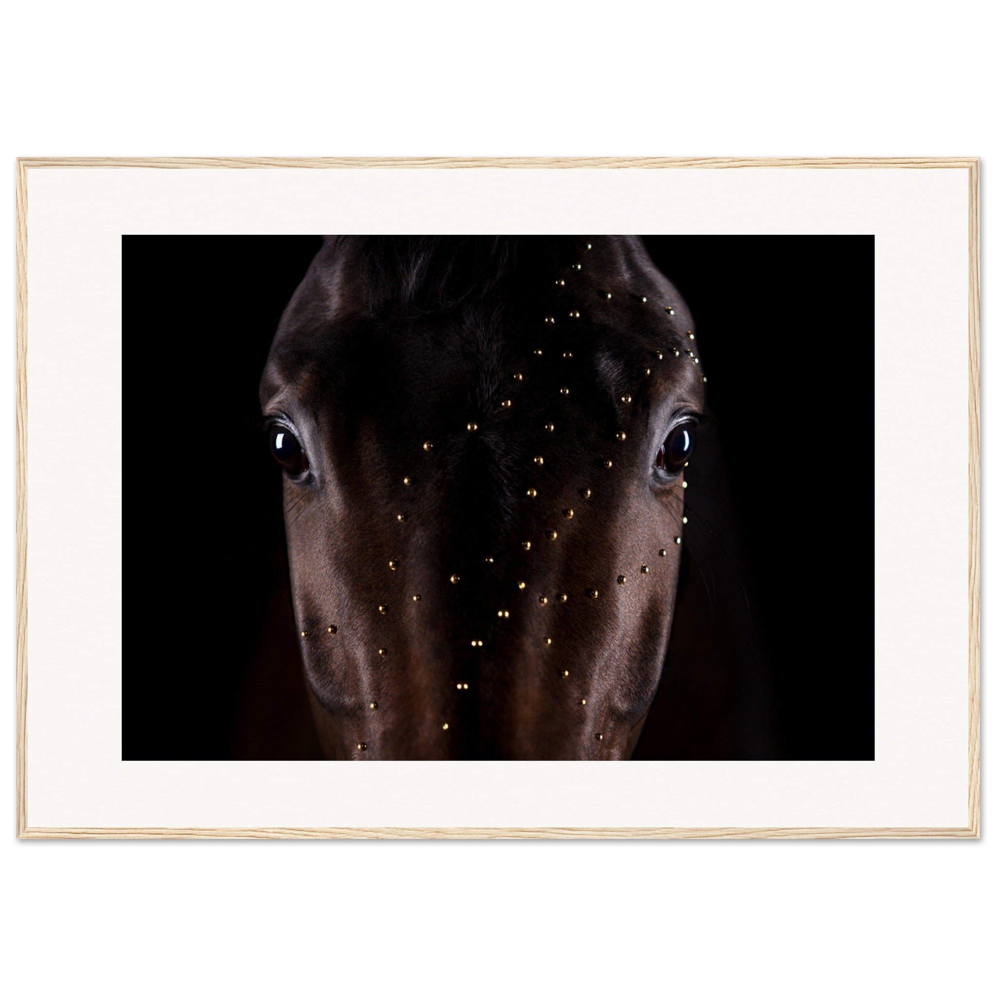 87eecf10-3f90-41ff-8ee7-1141d7d71821