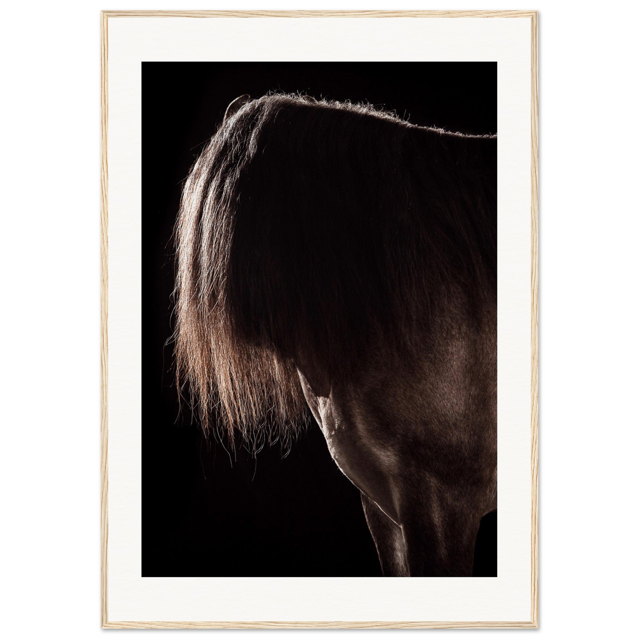 880acd26-46cd-460f-adf2-0cd811aab4b3