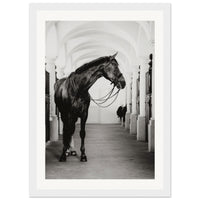 8847907e-8385-490b-8207-385f90c55624