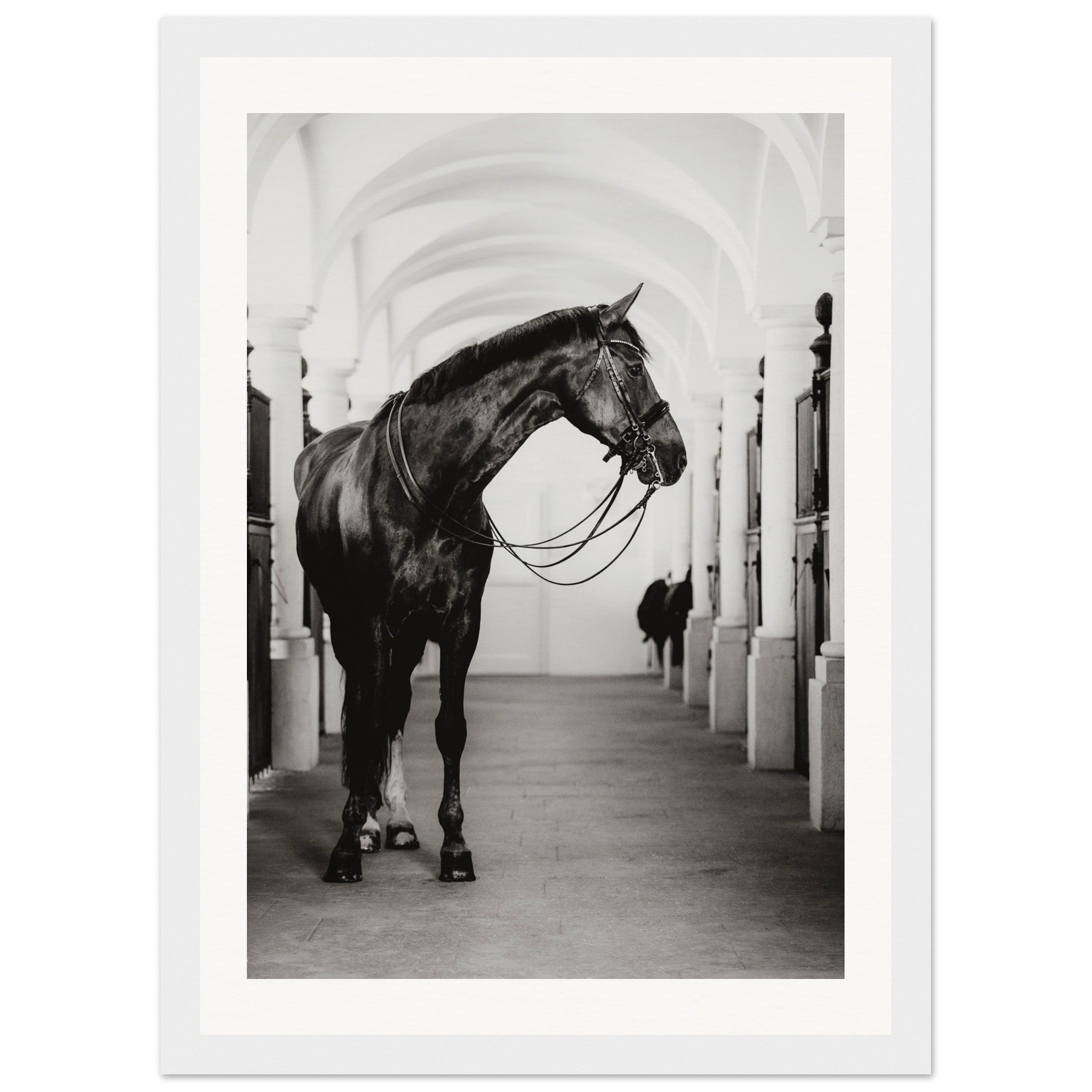 8847907e-8385-490b-8207-385f90c55624