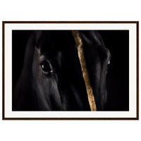 884877d3-27d6-427a-b30d-18aba3427e76