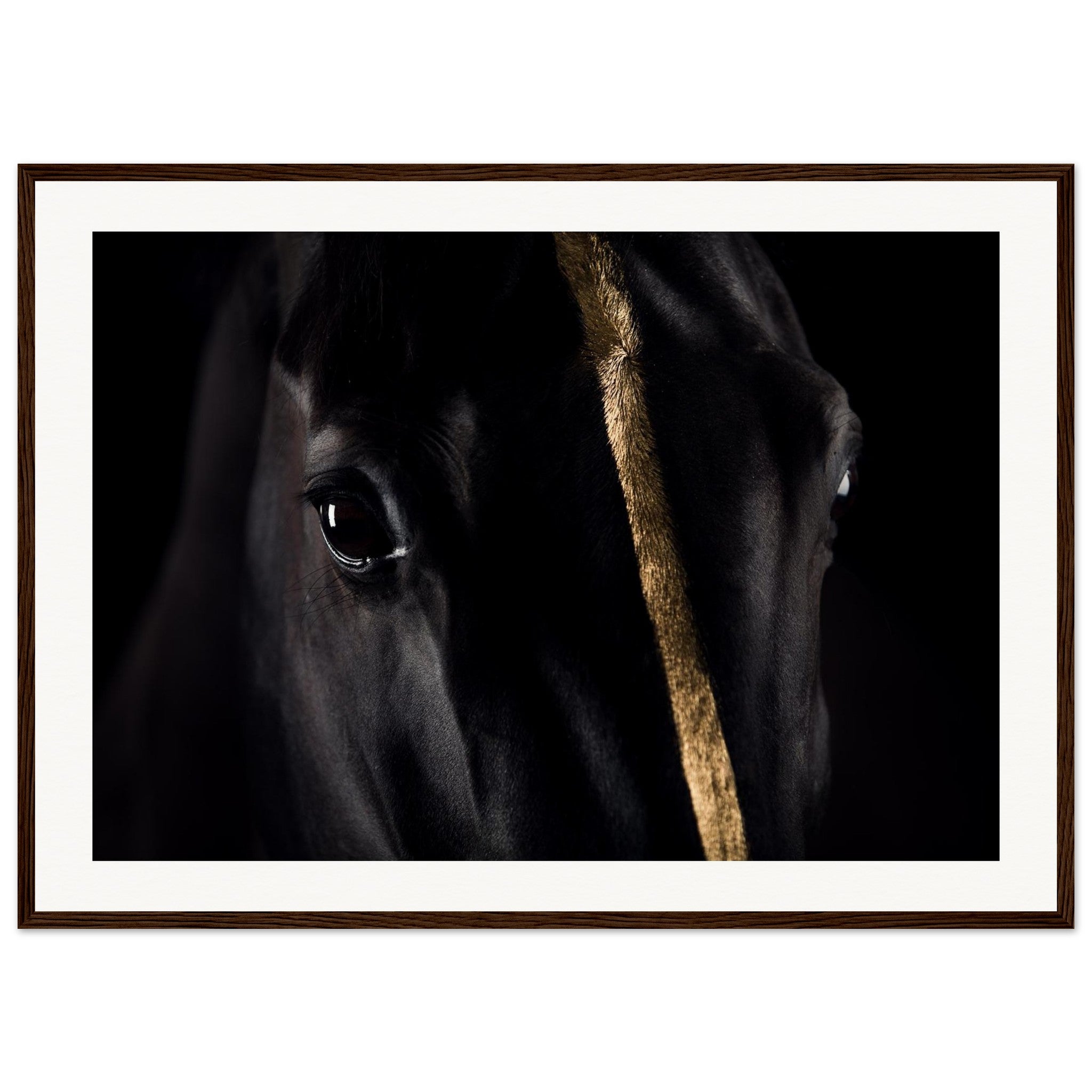 884877d3-27d6-427a-b30d-18aba3427e76