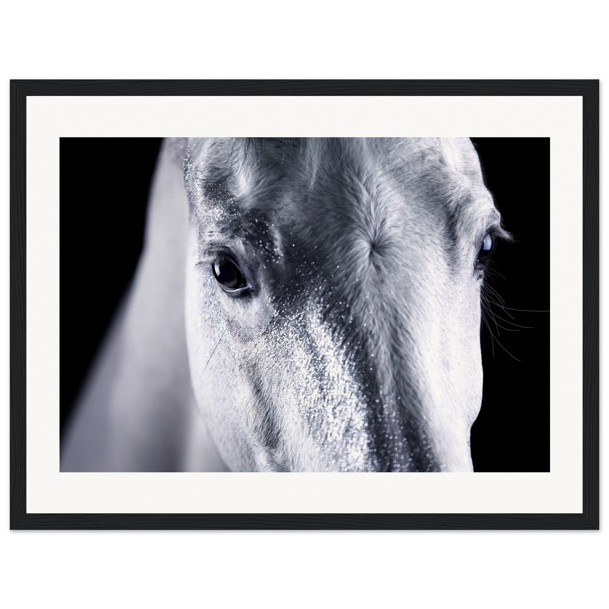 885175a4-ab62-46d6-9fb6-c1c5b3e68862