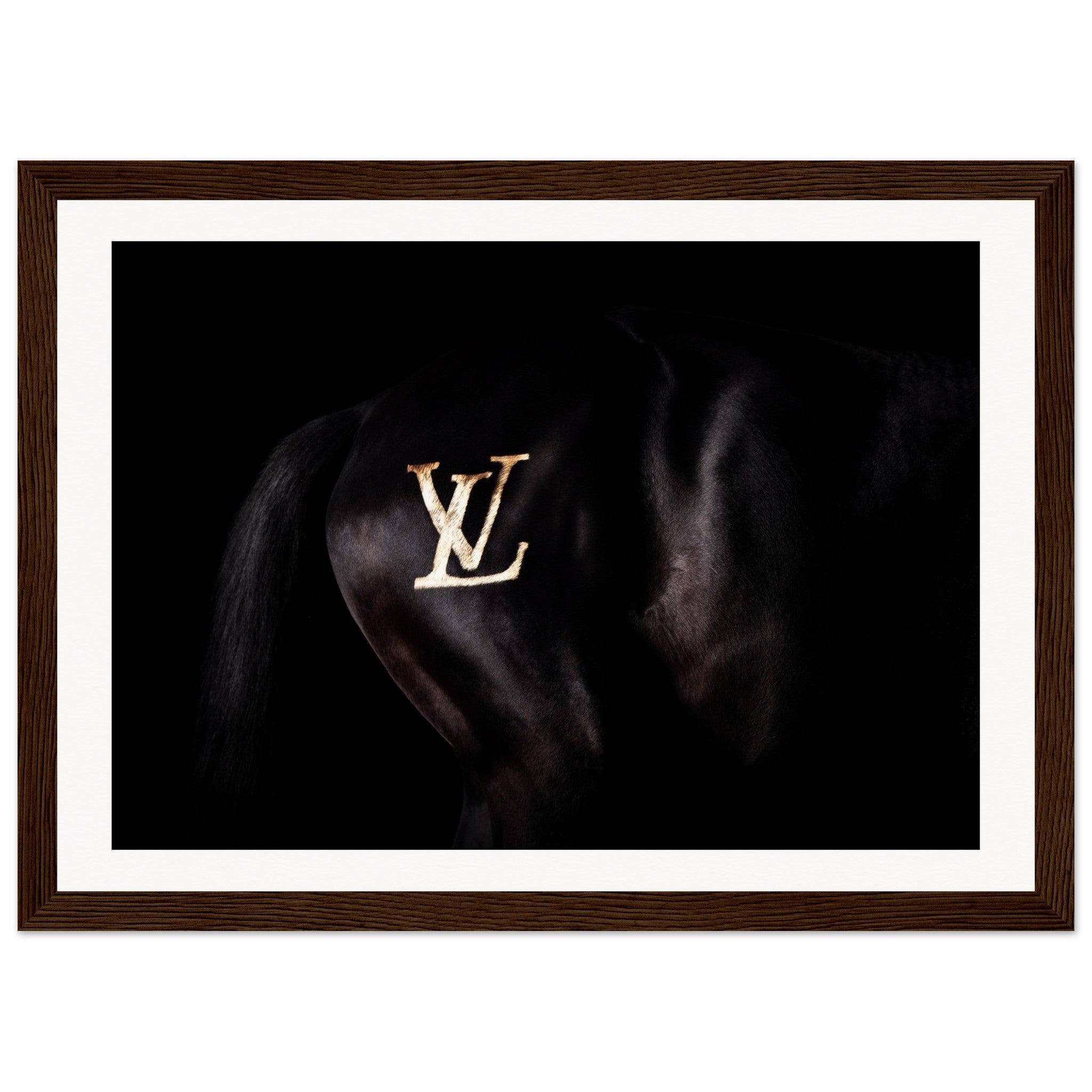 8878d875-fe7f-476d-a194-e8bf96d31488