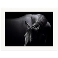 8881eb51-26bc-467f-8e40-0f955a7fe246