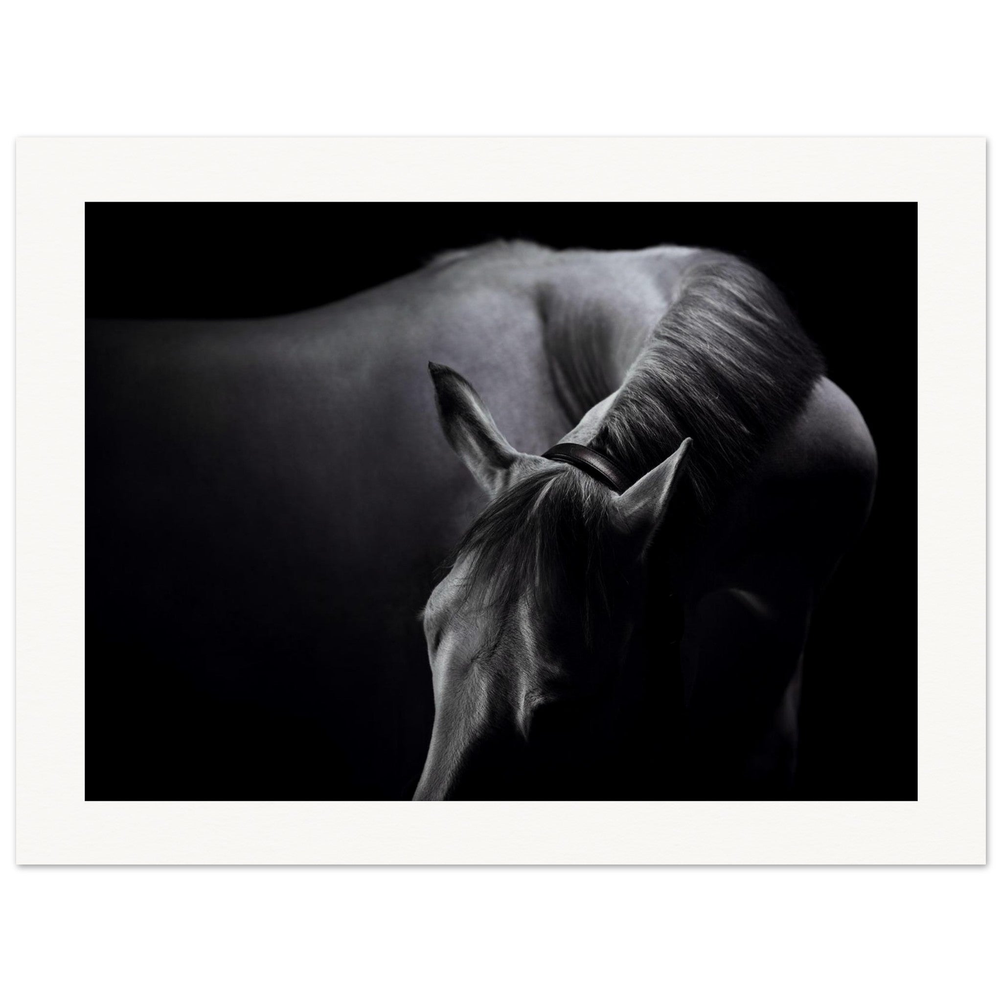 8881eb51-26bc-467f-8e40-0f955a7fe246