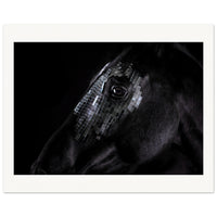 88cae6e2-b1b3-4143-8d79-593ebaf26100