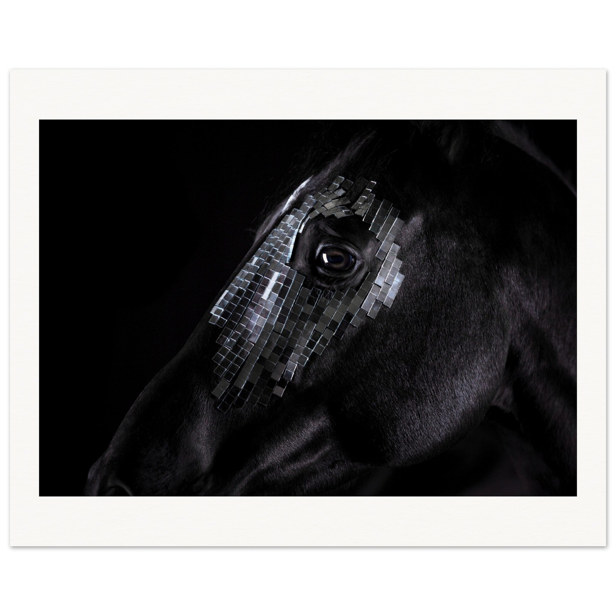 88cae6e2-b1b3-4143-8d79-593ebaf26100