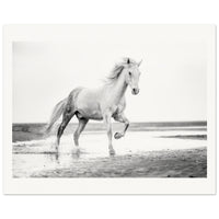 88e86e6f-1d42-4e0a-b7d8-97384ab4794b