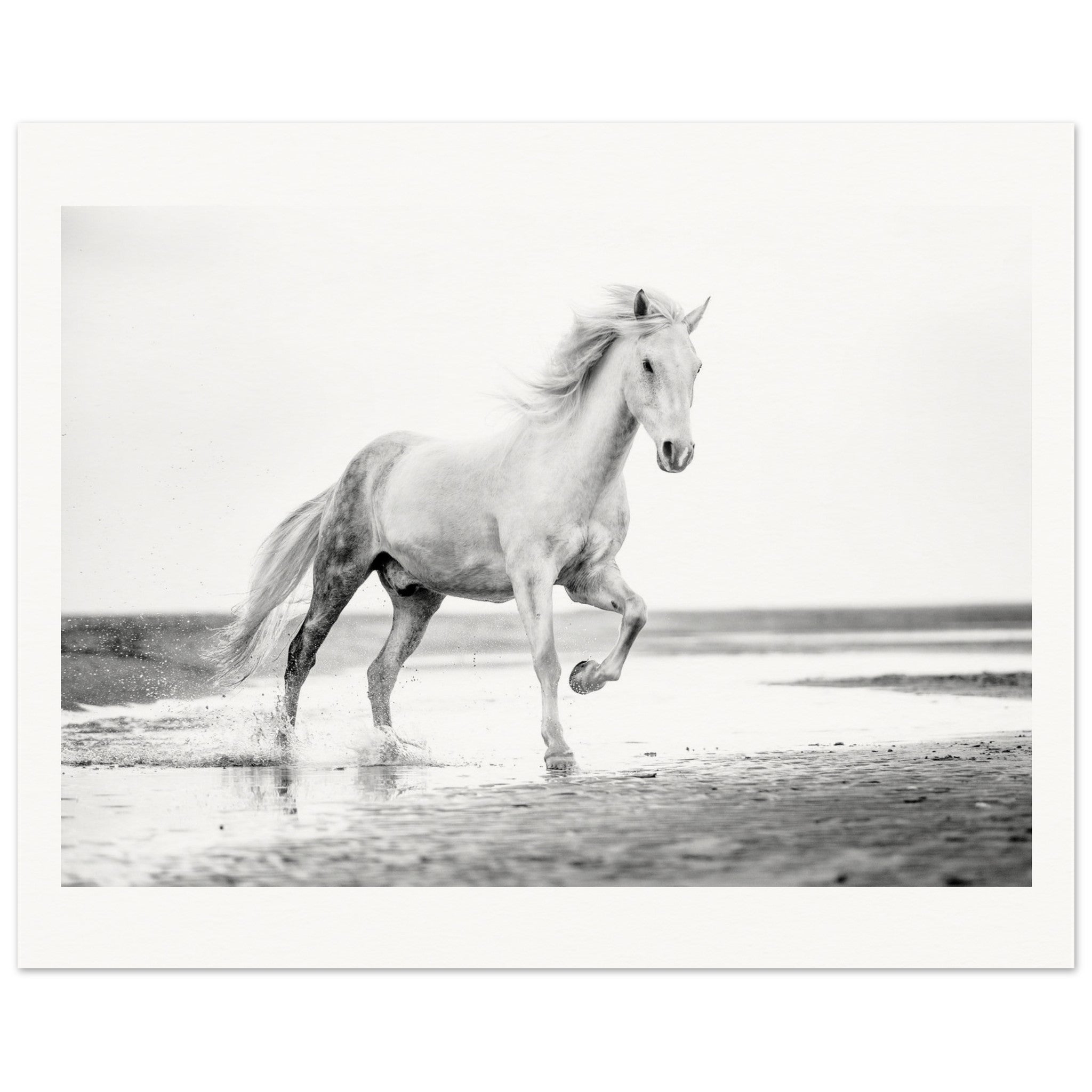 88e86e6f-1d42-4e0a-b7d8-97384ab4794b