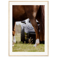 88ff51c8-61e0-48ea-aca0-468ee80ca72d