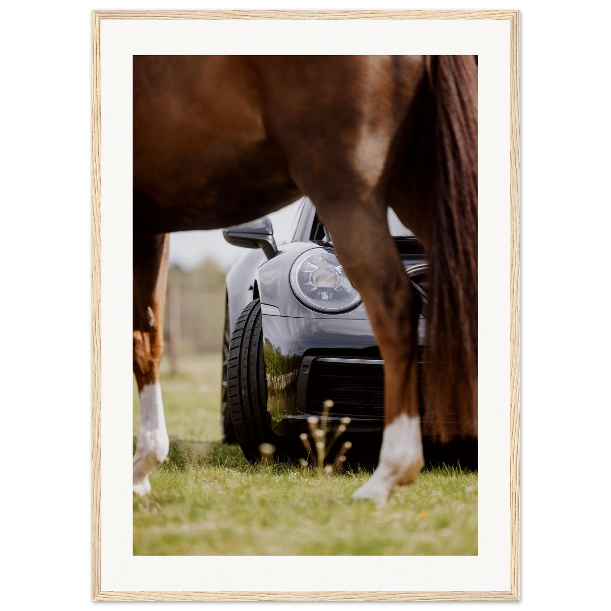 88ff51c8-61e0-48ea-aca0-468ee80ca72d