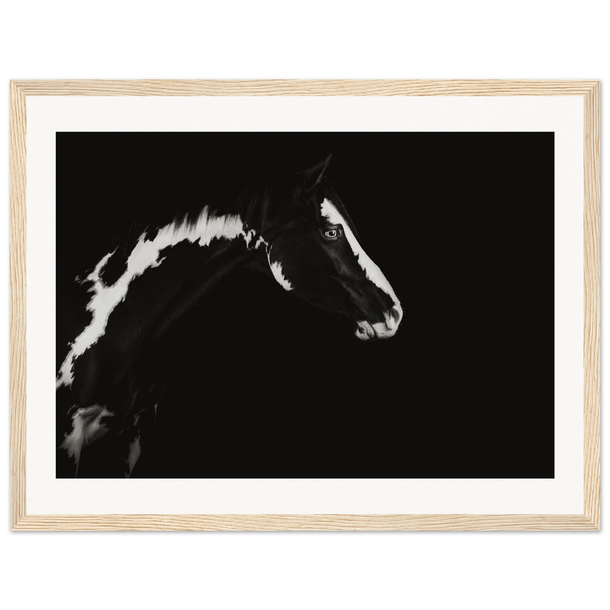 8949deda-8ecc-4064-a5d6-799496f29ca7