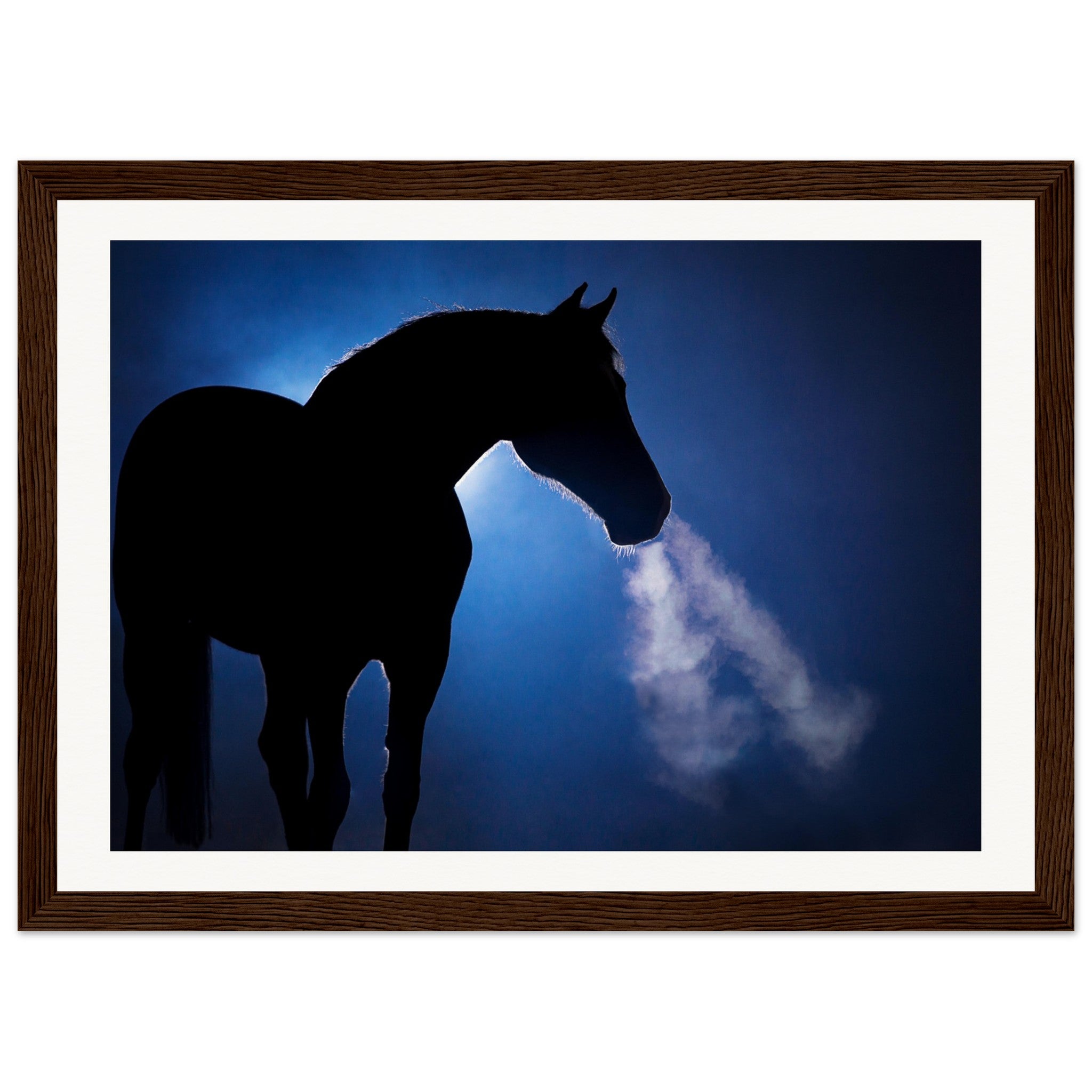 896a4394-ae01-4c7b-8db3-5484c03e54fd