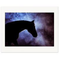 897b2fe1-6c8e-4b2a-8693-06b8d4d8e2b9