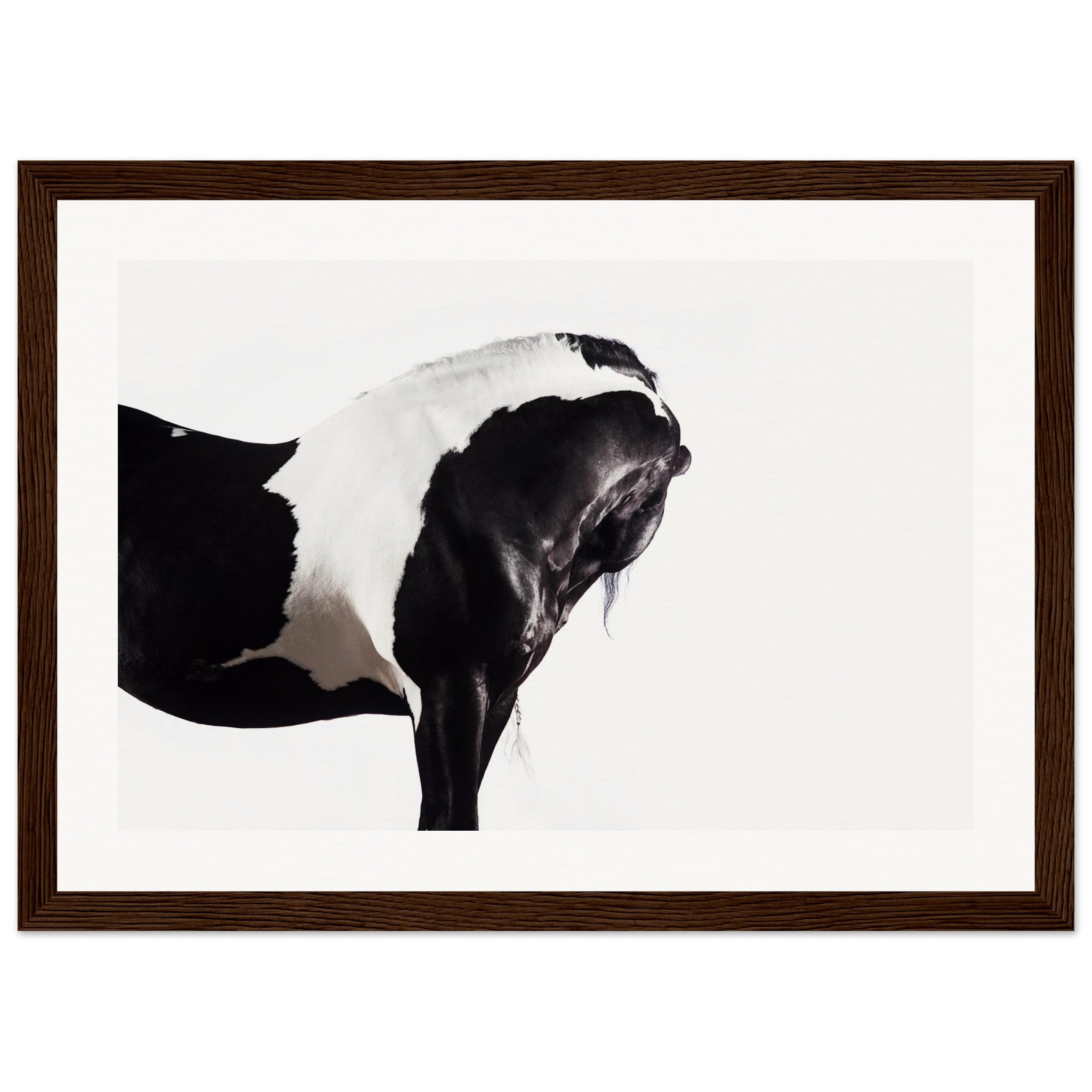 89cbd147-0327-4560-bcb8-ce6627a2a9dc