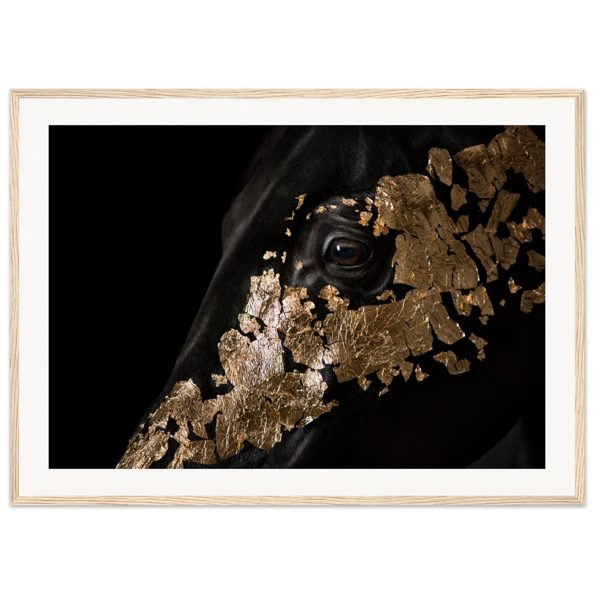 89eb503d-5bdb-4877-b801-faf0f5a479aa