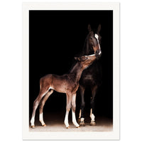 89f45e6a-cd74-43b8-96aa-cd93fd7b220c