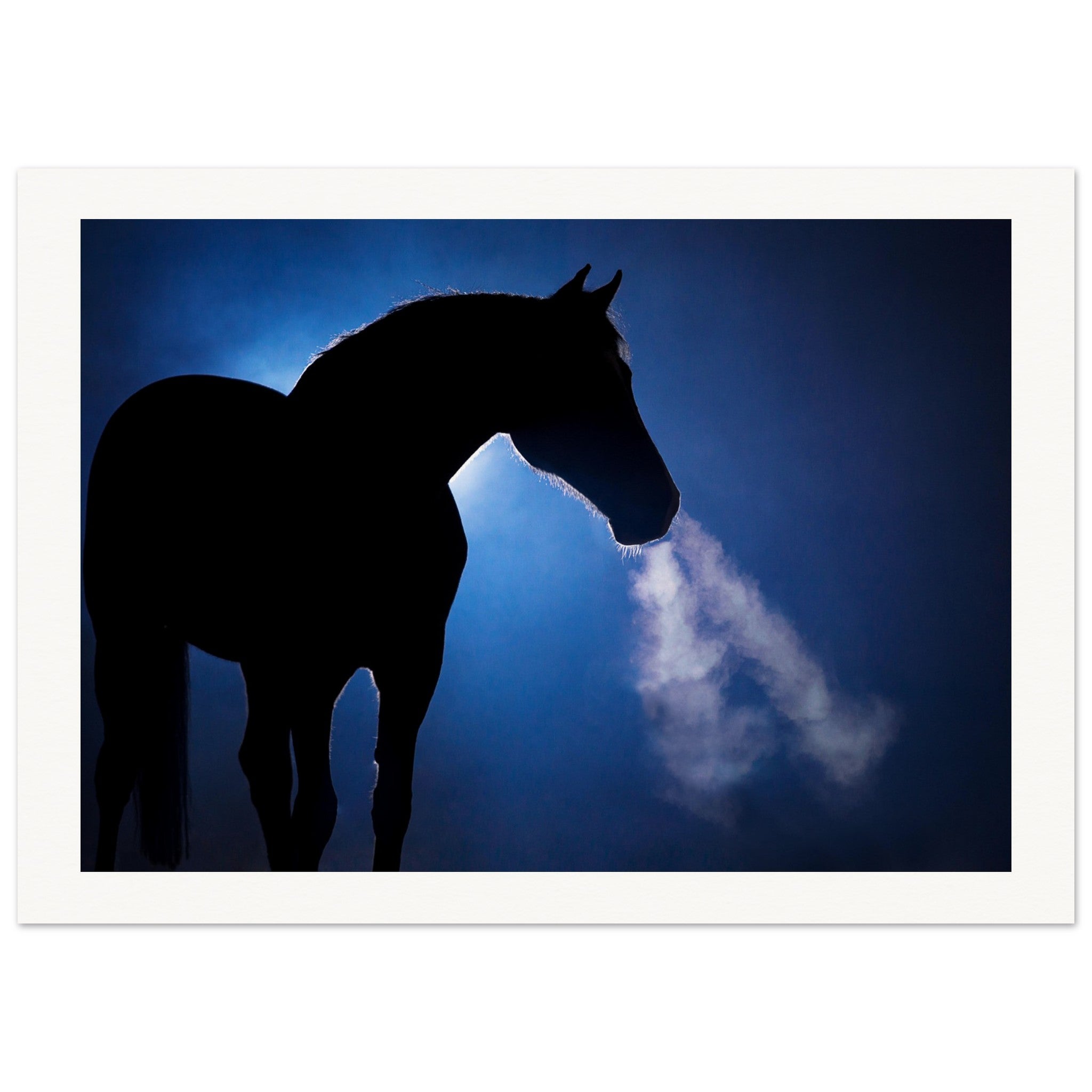 89ffae84-a05d-4342-aef5-255c47b0c649