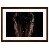 8a781159-9269-4626-b49c-ef8761cdcda1