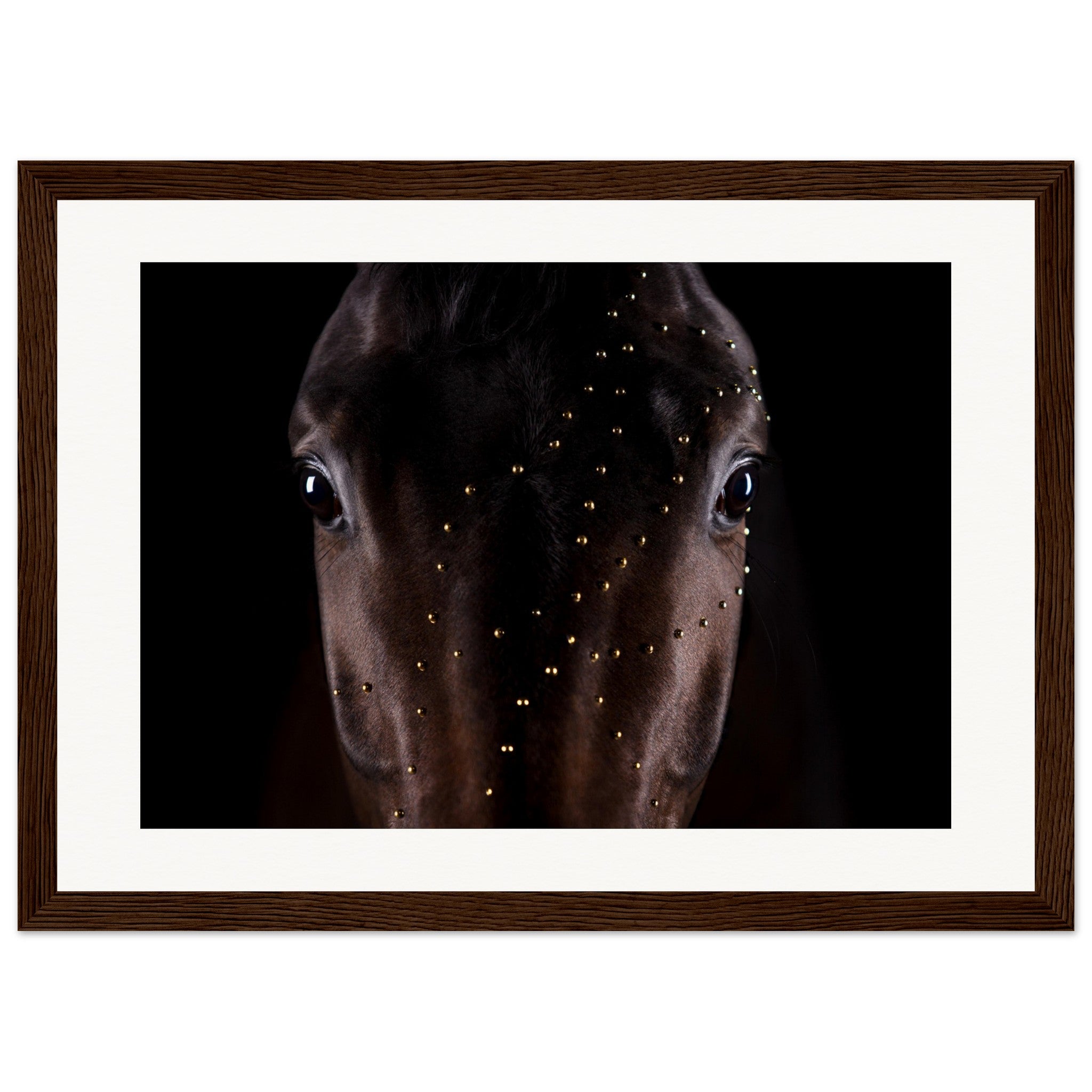 8a781159-9269-4626-b49c-ef8761cdcda1