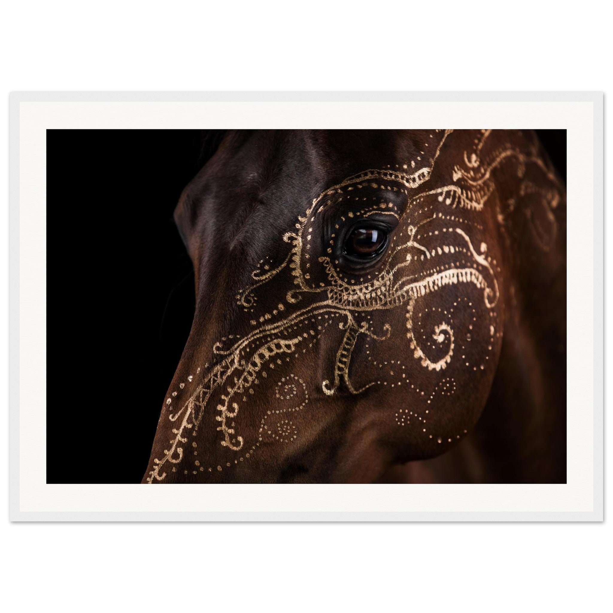 8a7a586a-8fe7-4ece-acd0-c07d47c00c87