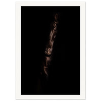 8a9d3d20-14a5-4619-b37a-e01d718f1aae