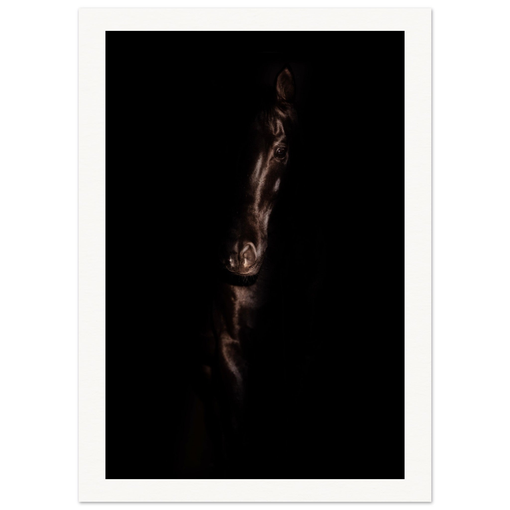 8a9d3d20-14a5-4619-b37a-e01d718f1aae