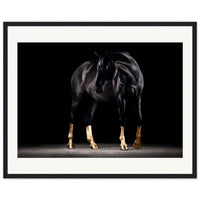 8acadaf2-f355-47b0-9768-ba7fc0518c9a