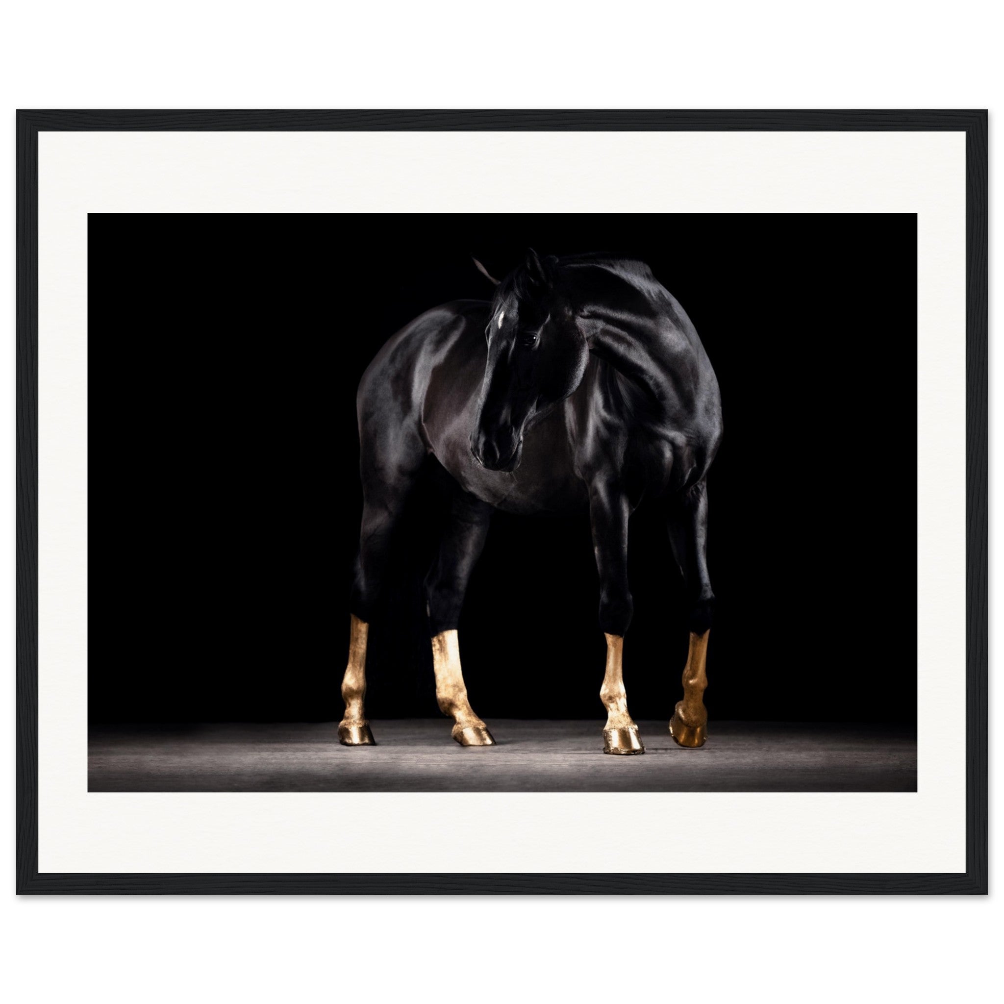 8acadaf2-f355-47b0-9768-ba7fc0518c9a