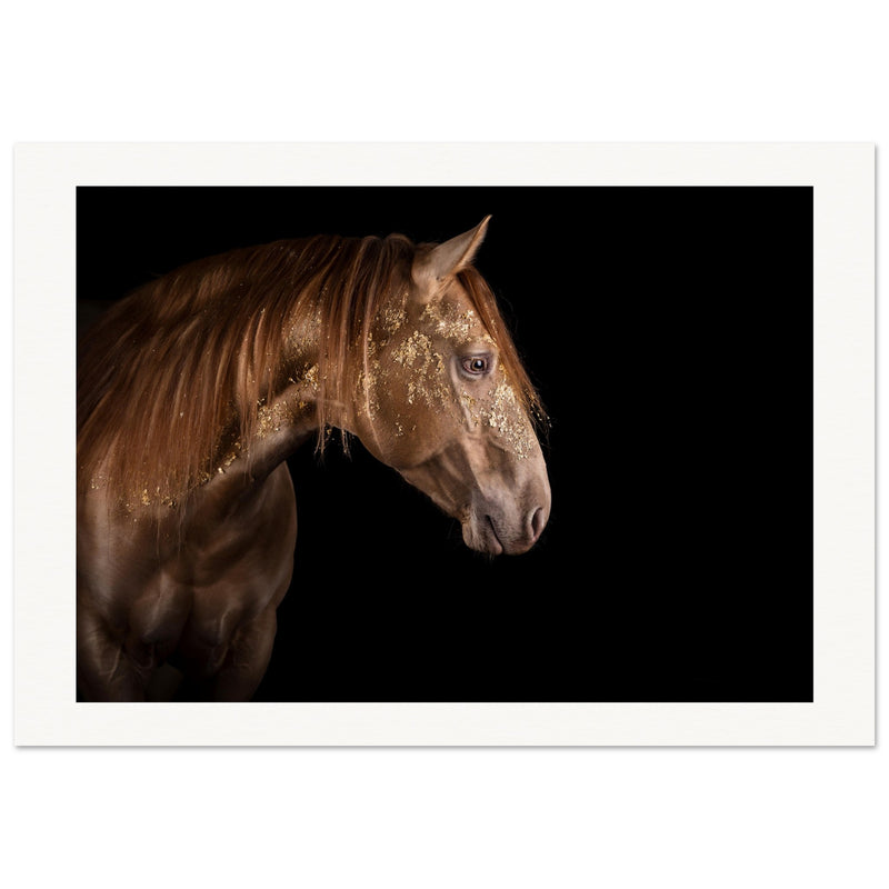 8ad64d5e-16a4-45b1-a571-7aca3c046dcd