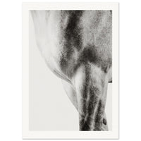 8aec5643-4942-4d48-b038-4dc3bda8c72d