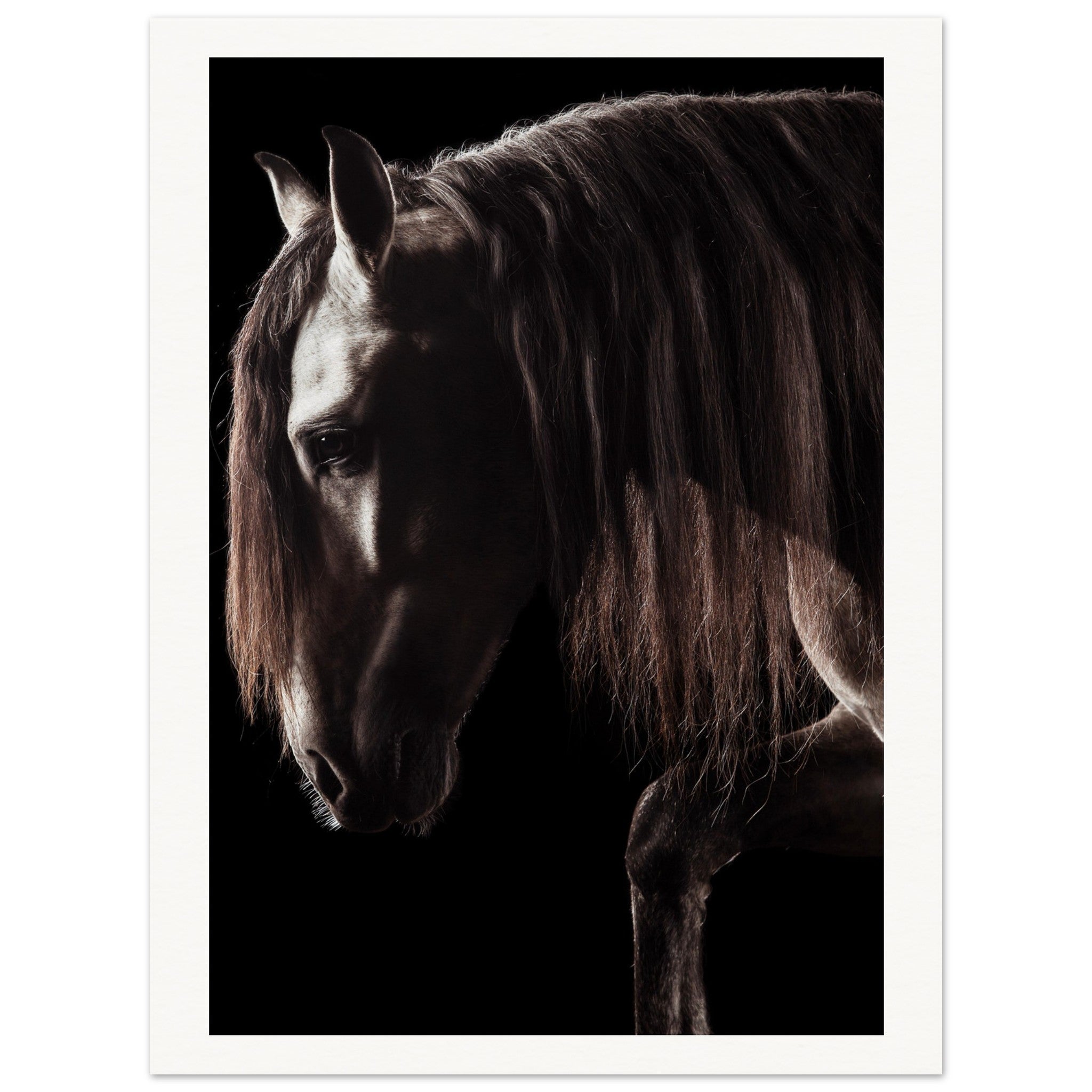 8aecf3b8-5cf8-4047-a4d4-3331a2dddb83