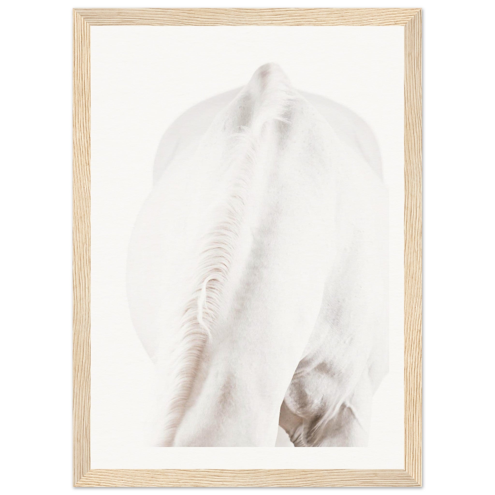 8b1b3ce3-be3d-4519-808c-27dde985143e