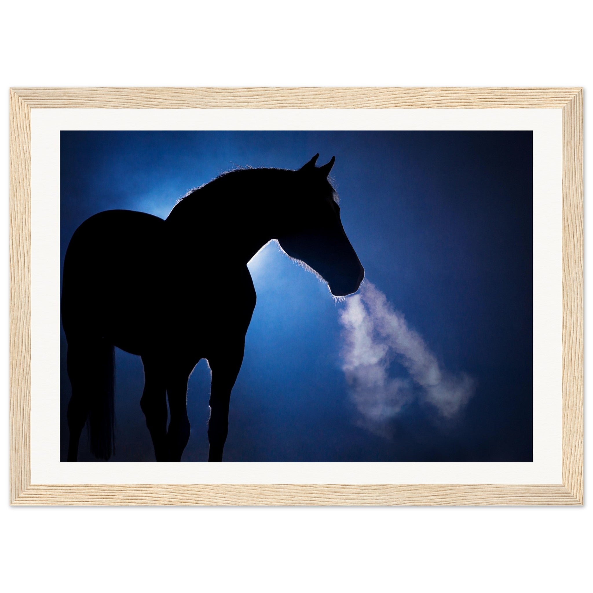 8b24bf80-56d8-47d9-b99a-8612d9241448