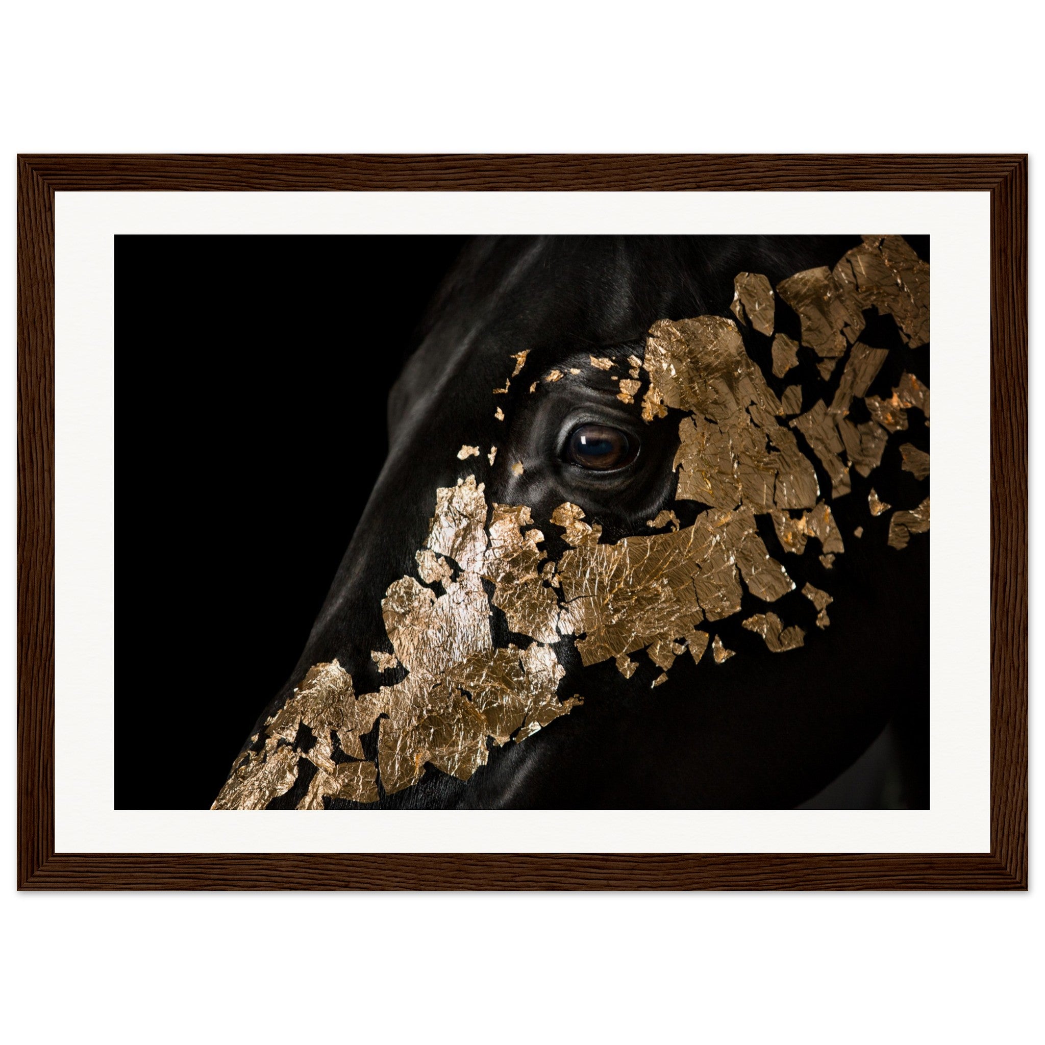 8b27a3a9-01d0-4ecc-8c8e-2b7433697bd9