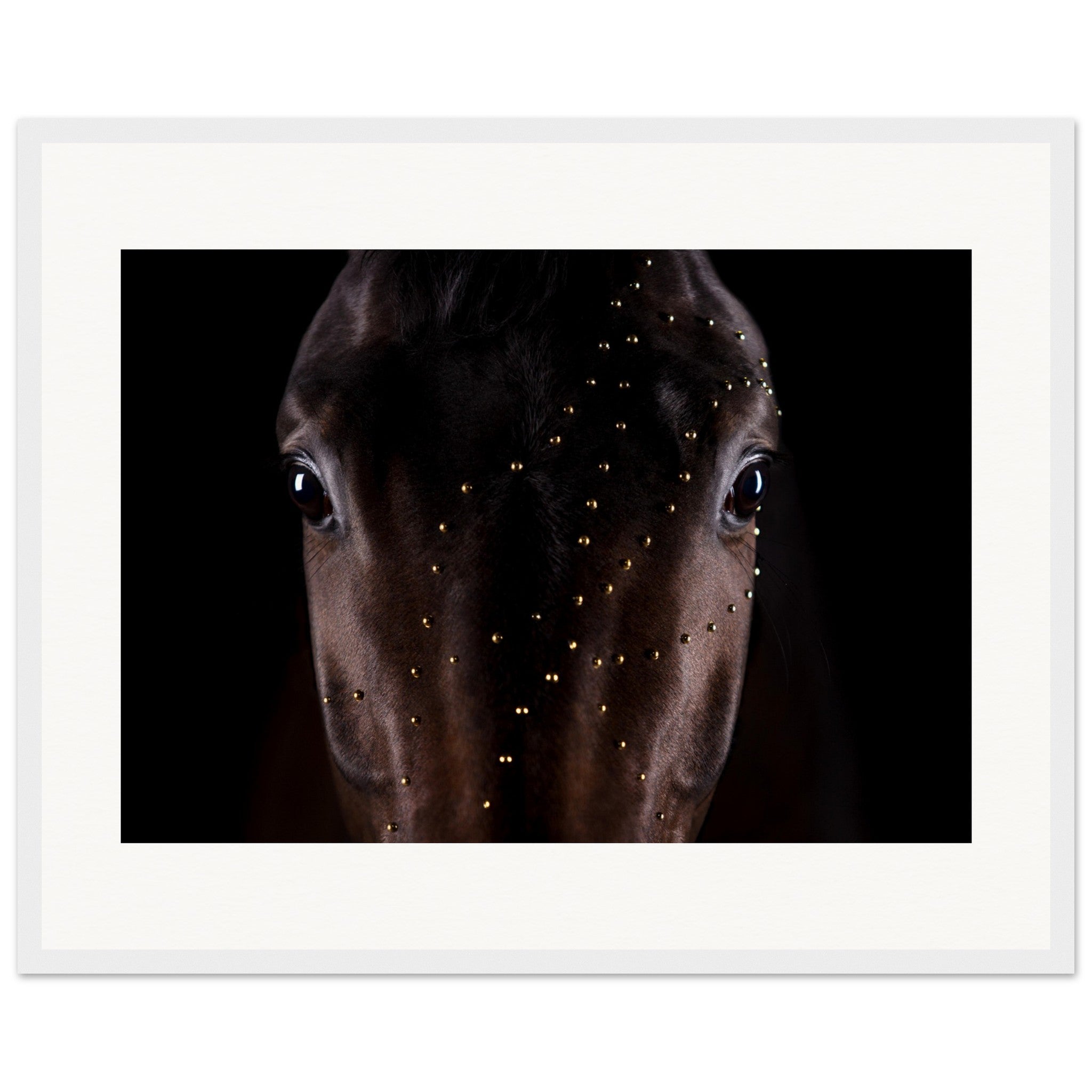 8b2b5099-29db-45b5-a87e-d211a3601ff0