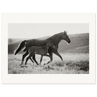 8b931611-c672-413e-a41c-0c7bbe07d97d