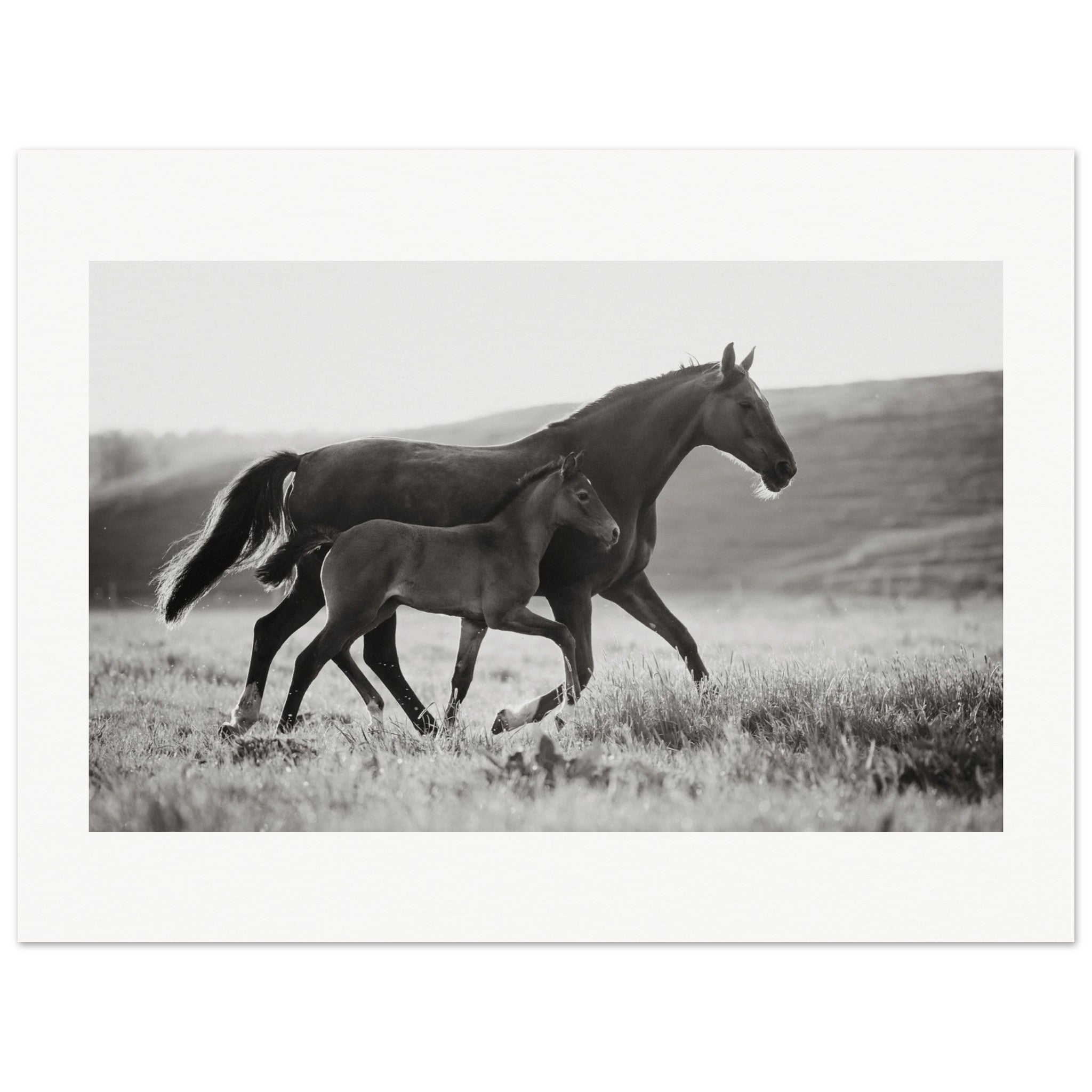 8b931611-c672-413e-a41c-0c7bbe07d97d