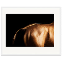 8b94b9ab-6c64-4daf-ac48-ee7b5057ed4e