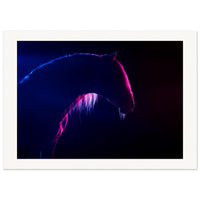 8bba3a17-3317-4f39-ad49-3b484667185b