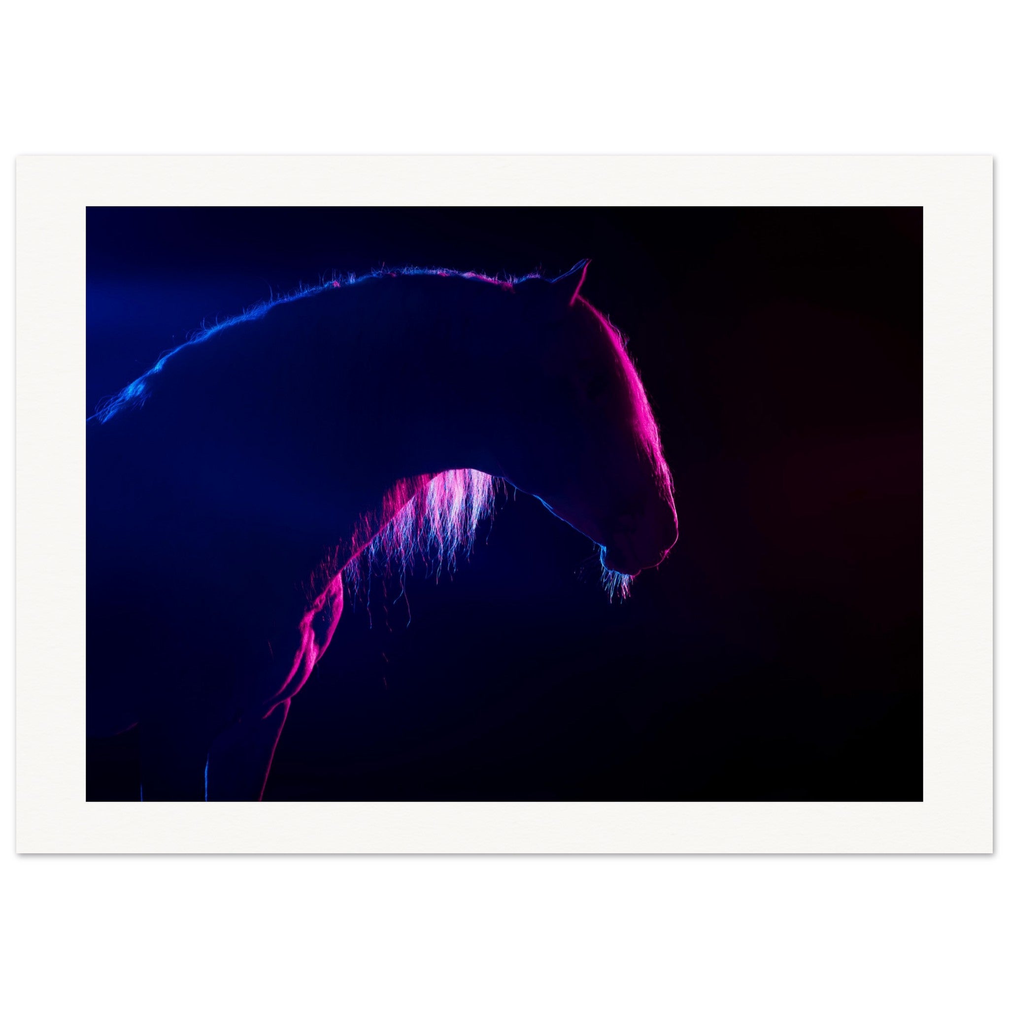 8bba3a17-3317-4f39-ad49-3b484667185b