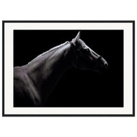 8bdad1bc-4c0c-4cf0-93f1-ef776bc26701