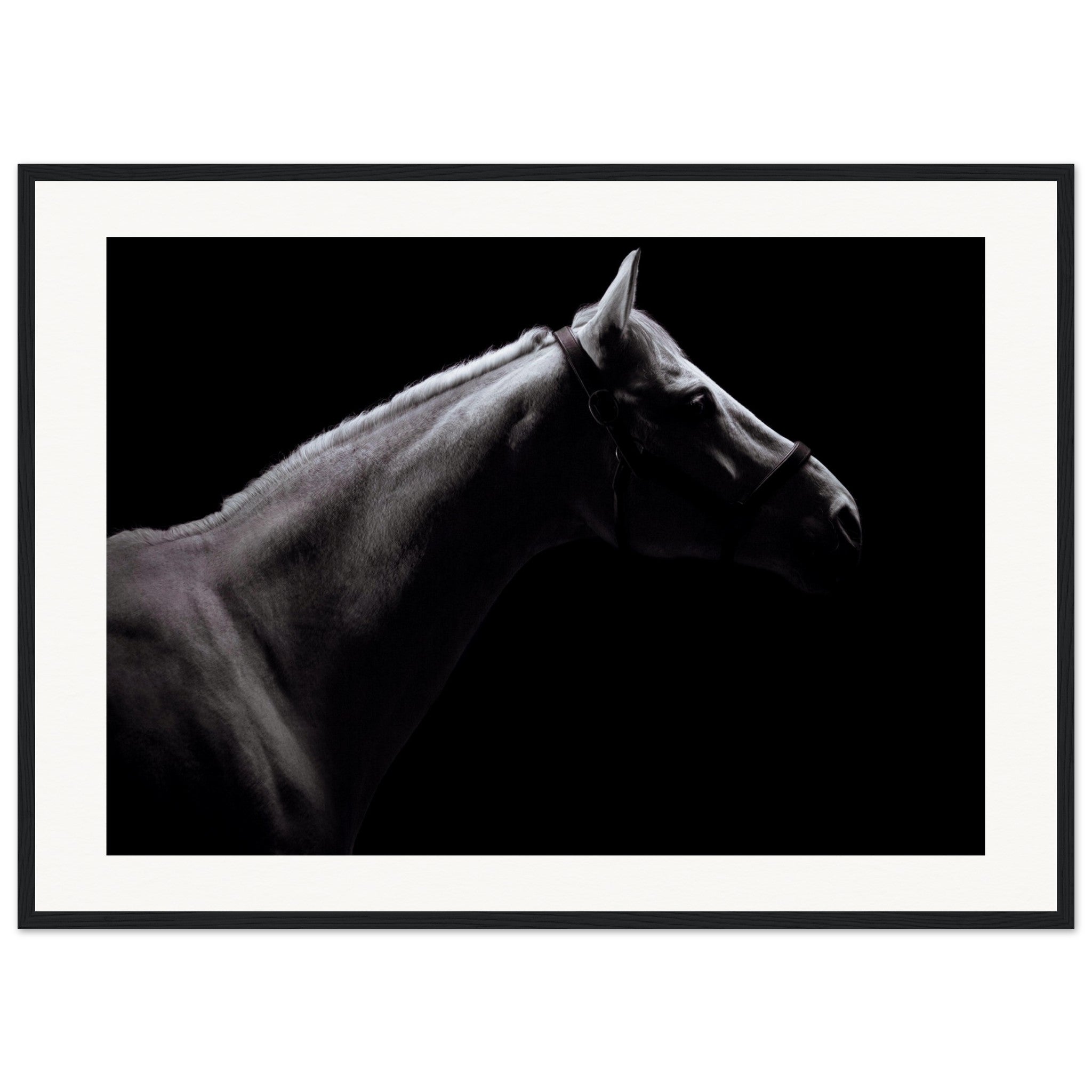 8bdad1bc-4c0c-4cf0-93f1-ef776bc26701