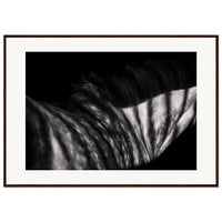 8c30f17e-c04b-4eca-b287-e8b7d4c1d5a1