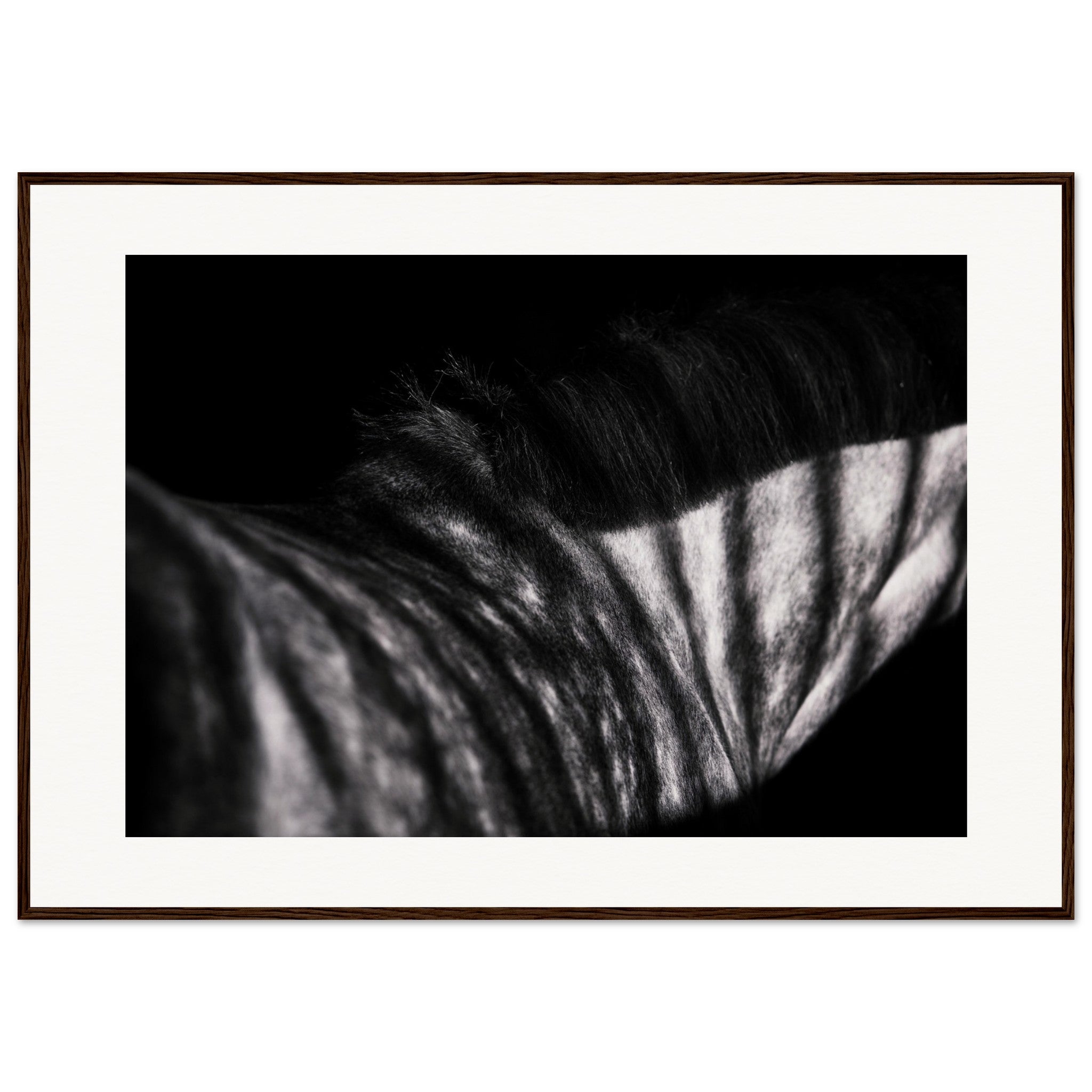 8c30f17e-c04b-4eca-b287-e8b7d4c1d5a1