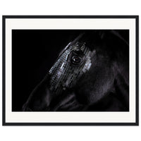 8c598310-d600-43a2-ac3b-a691ad9120ed